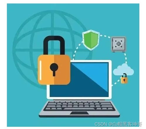 網絡安全專家核心技能與必備工具指南